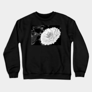 White blossoming chrysanth, black and white flower photography Crewneck Sweatshirt